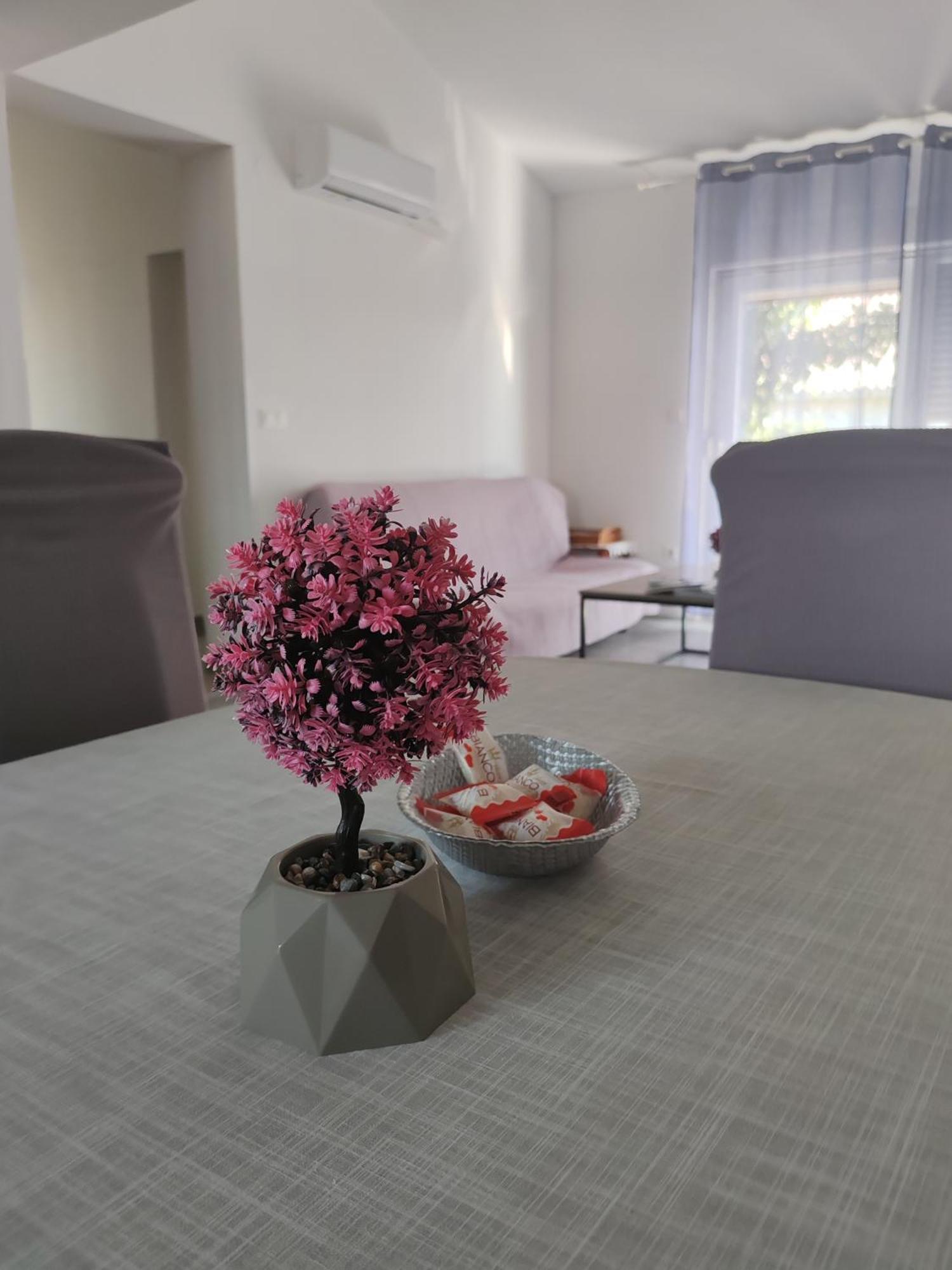 Apartman Olic Razanac Exterior photo